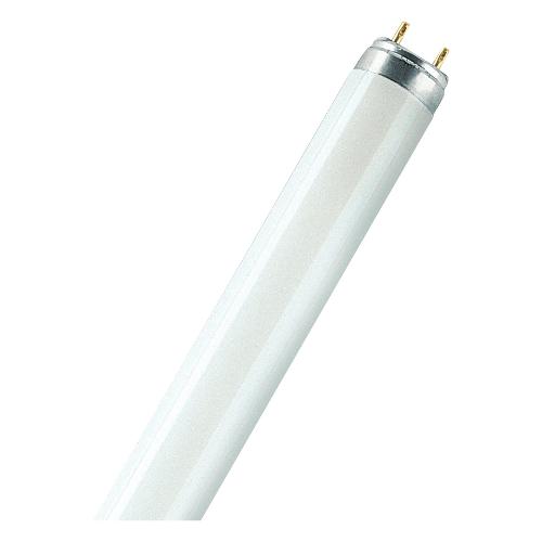 Osram Tubo neon G13 (36W) , luce fredda LUMILUX T8 L36 W840