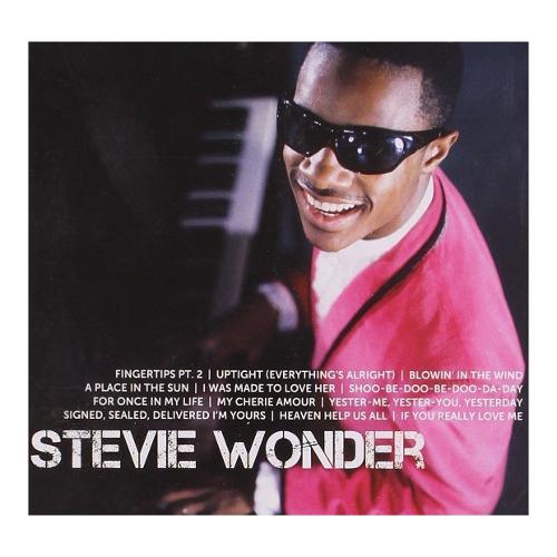 Audio CD Icon - Stevie Wonder 2747254