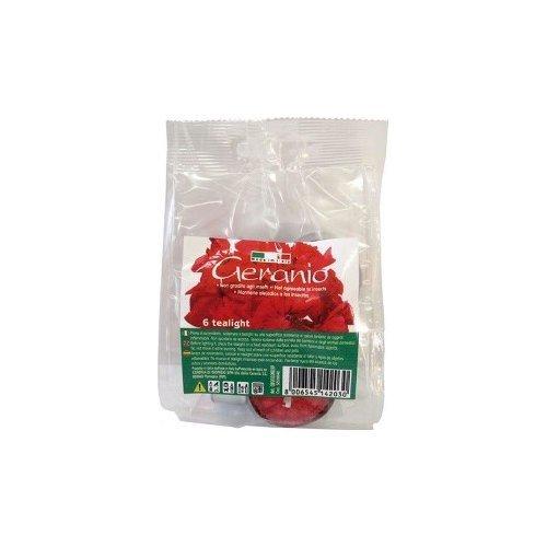 Cereria Di Giorgio Set candele citronella 6 pz Tealight Geranio GE00106