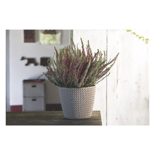 Prosperplast Vaso piante tondo SPLOFY sabbia (19x16 cm) 19 M9