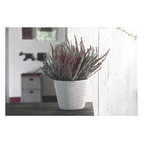 Prosperplast Vaso piante tondo SPLOFY bianco (30x25 cm) 30 C2