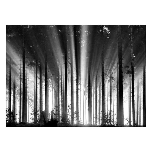 Bubola & Naibo FORESTA 37280B0 Stampa su tela (110x80cm)