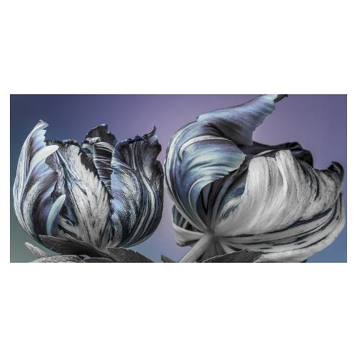 Bubola & Naibo FIORI 035425 Stampa su tela (100x50cm)