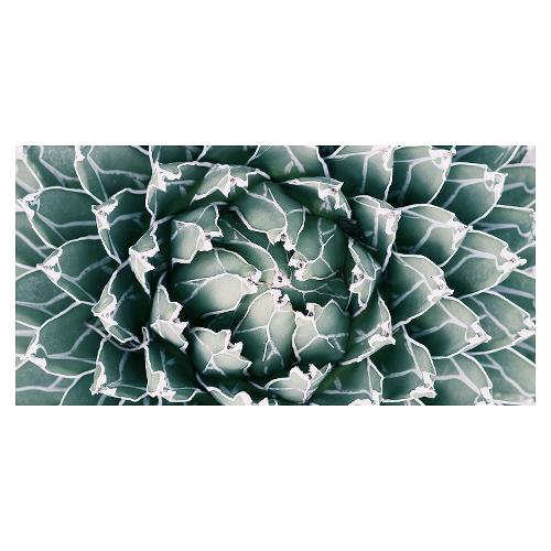 Bubola & Naibo FIORI 035725 Stampa su tela (100x50cm)