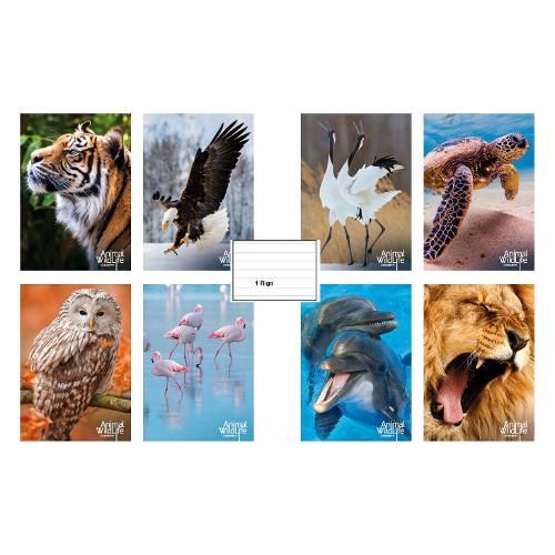 Blasetti Quaderno righe 1R (1 rigo) A4 Animal Wildlife 6874