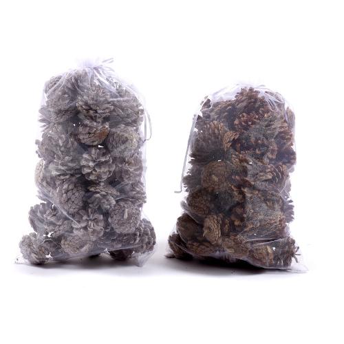 Mercury Decoro Pigne Decorative Assortito 68104
