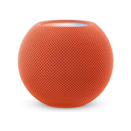 Assistente vocale Google Assistant NEST MINI Grigio chiaro GA00638 ES