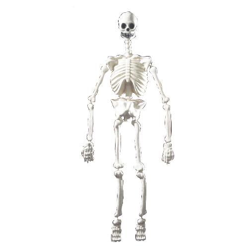 Ciao Scheletro 100cm.pvc Decorazione Halloween 30460