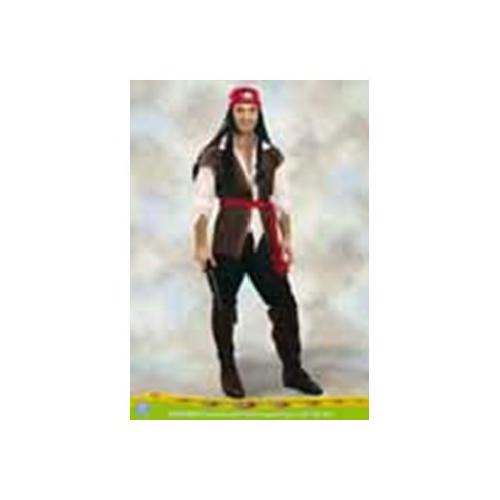 4211A - Carnevale Adulti - the cartoon world - VESTITO COSTUME