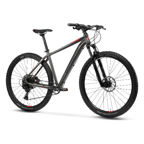 Cicli Lombardo Mountain Bike alluminio ( 12 vel ) 29" IMPERIA 5.0 Titanio e Bianco opaco DH2901 (taglia 53 )