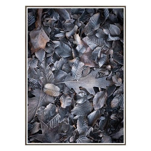 Bubola & Naibo Stampa con cornice (50x70cm) UNIKA 005221