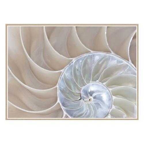 Bubola & Naibo 6110 03 Stampa con cornice 50 x 100 cm 6110DP008125