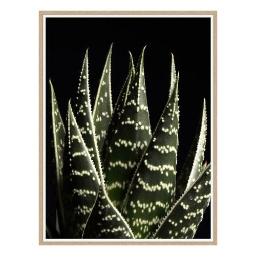 Bubola & Naibo CACTUS Stampa con cornice (30x40cm) UNIKA 006011