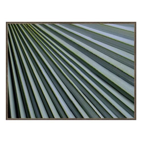 Bubola & Naibo FOGLIE Stampa con cornice (30x40cm) UNIKA 005711