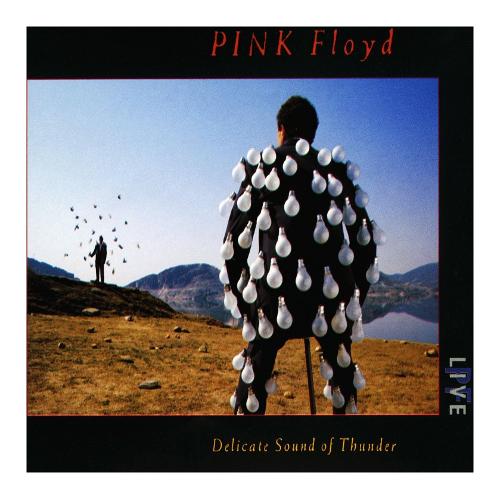 Audio CD Pink Floyd Delicate Sound of Thunder - Pink Floyd 60919427