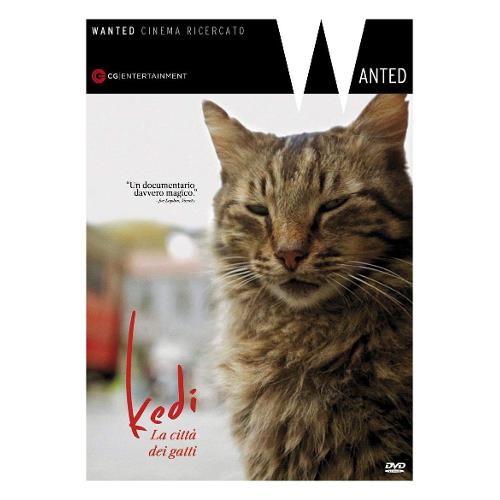 Cecchi Gori Home Video DVD Kedi - La Citta' Dei Gatti - Ceyda Torun PSV21962