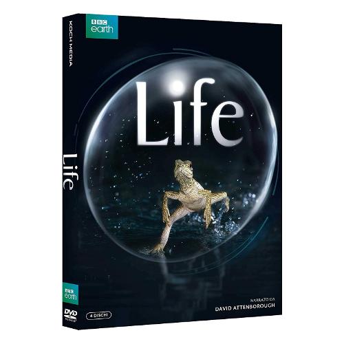Koch Media DVD Life (4 Dvd) - 1027117