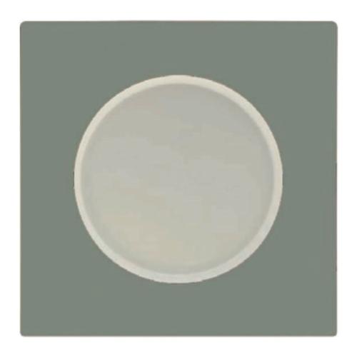 Livellara Sottopiatto Porcellana (32cm) FRESHNESS Sage A0437D62