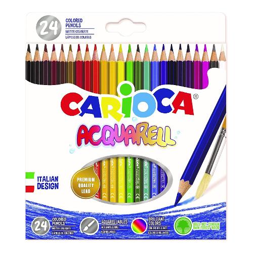 MATITE ACQUARELLABILI STAEDTLER 24 COLORI - pastelli acquarellabili