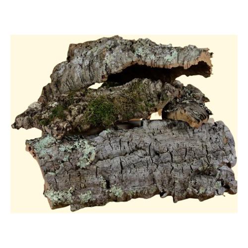 Rossi Rosa Decoro presepe Busta Sughero 86139