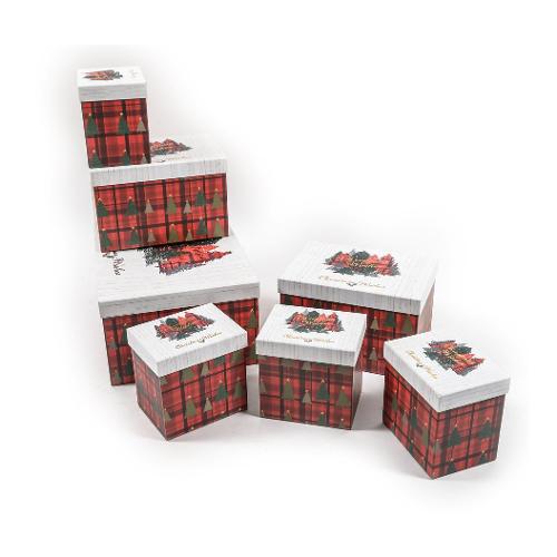 Mercury Scatola natalizia Misura 1 WHITE TARTAN colore assortito (19x7x16 cm) 57420
