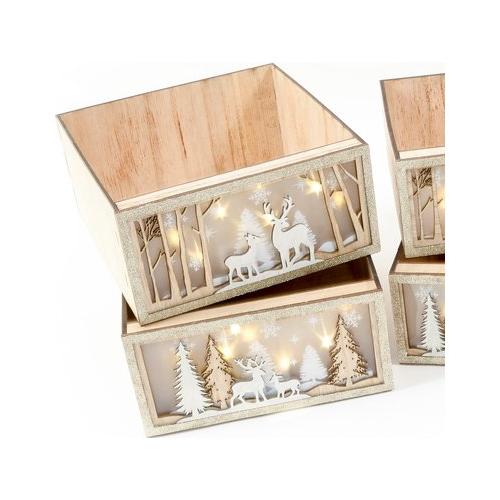 Mercury Cassetta Natale Cassetta con luci L (25x27x12cm) Assortito 60824