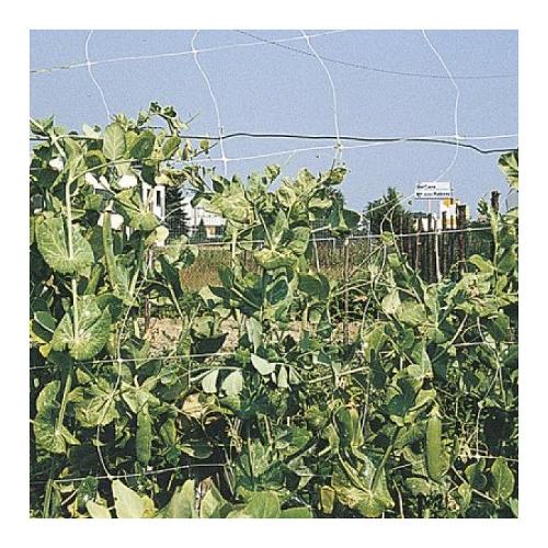 Verdelook Rete rampicanti Per Piante Orticole 2 x 10 mt RAMPY Verde 524 1