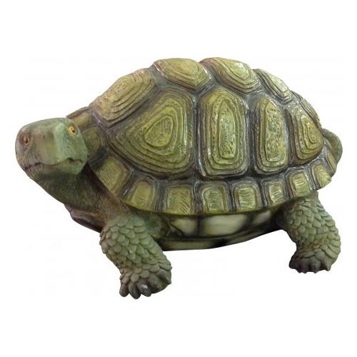 Verdelook Tartaruga 214 9