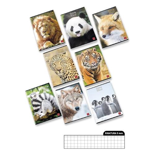 Pigna Quaderno quadretti 5 mm A4 ANIMAL assortito 0232044