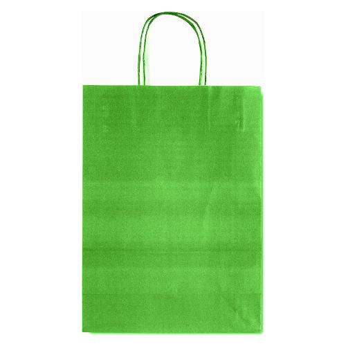 Saul Sadoch Shopper regalo (26x12x36cm) ALLEGRA Verde SDF26 764
