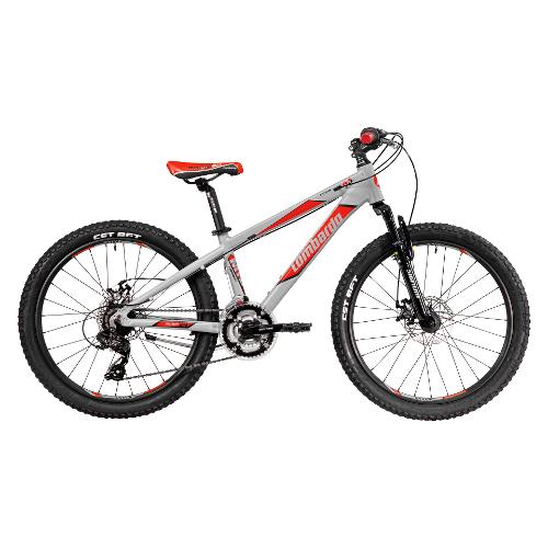 Cicli Lombardo Bicicletta Mountain Bike 24" YOUNG MOZIA Argento lunar DY2402