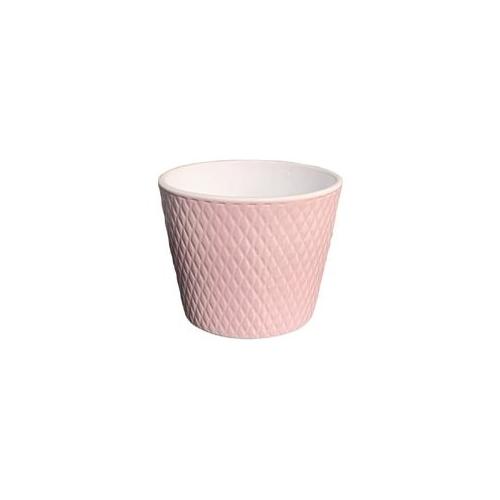 Corino Bruna Coprivaso ARIEL Rosa (15 cm)