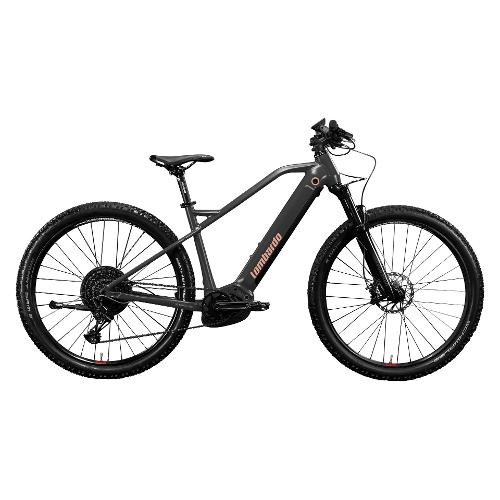 Cicli Lombardo Mountain Bike elettrica 29" ( 36V; 13,4Ah 500Wh ) CHAMONIX 1.0 Titanio e Pesca opaco EH2903 (taglia 45 )