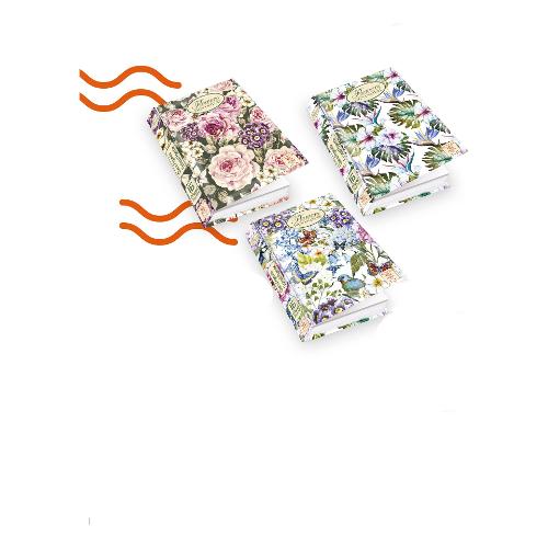 Pigna Diario scolastico Pocket Non datato 16m Set-Dic NATURE Assortito 0230383