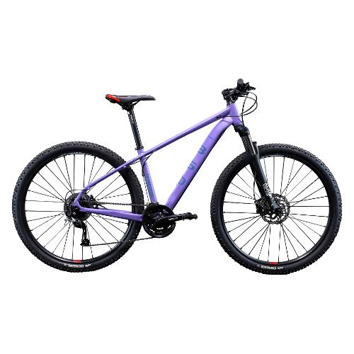 Cicli Lombardo Mountain Bike ( 27 vel ) 29" DYNAMIC SESTRIERE 350 AGEVOLE Alluminio Viola RM4005 opaco Tg. 45 DH2905
