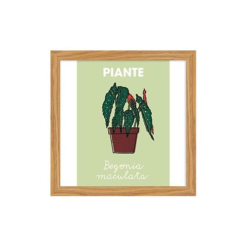 Bubola & Naibo 6340 01 Stampa con cornice (25x25cm) 6340DP003325X