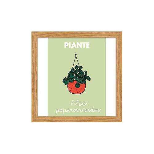 Bubola & Naibo 6340 01 Stampa con cornice (25x25cm) 6340DP003525X