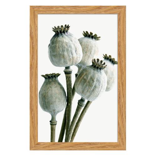 Bubola & Naibo 6340 01 Stampa con cornice (20x30cm) 6340DP000708