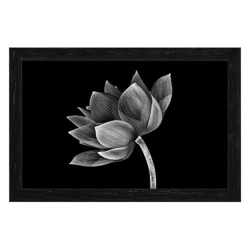 Bubola & Naibo 6340 09 Stampa con cornice (20x30cm) 6340DP002008
