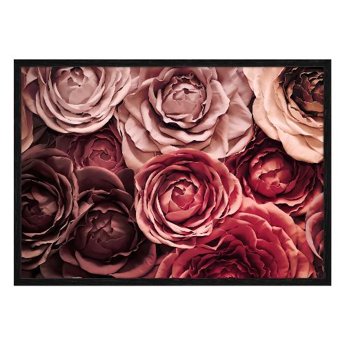 Bubola & Naibo 6340 09 Stampa con cornice (50x70cm) 6340DP007221