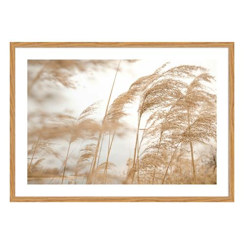 Bubola & Naibo 6340 01 Stampa con cornice (50x70cm) 6340DP006421