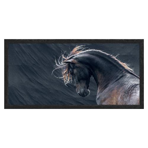 Bubola & Naibo 6110 09 Stampa con cornice (50x100cm) 6110DP008725