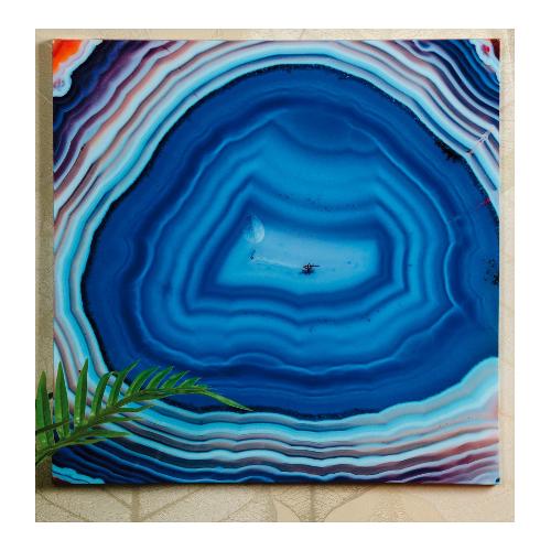 Star Stampa su tela (50x50cm) 61785