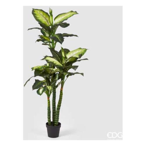 Edg Pianta artificiale Diffembachia green 232740 72 (155 cm)