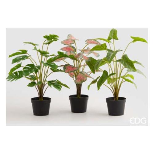 Edg Pianta artificiale Verdi assortito 232876 70 (48 cm)