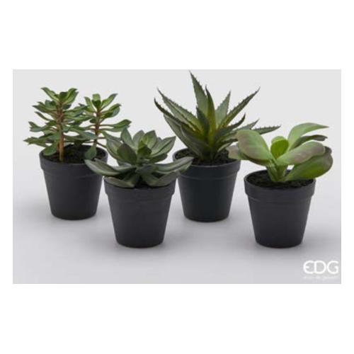 Edg Pianta artificiale Cactus west assortito 232453 95 (29 cm)