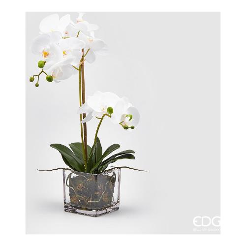 Edg Pianta artificiale Orchidea Vaso Tt. White 215313 10 (59 cm)