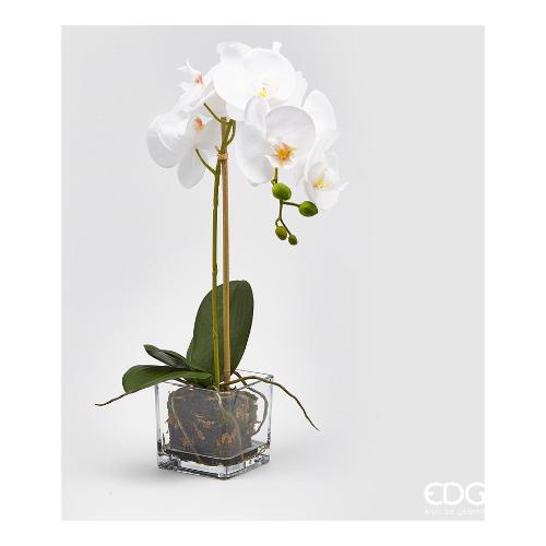 Pianta artificiale Orchidea Vaso White 214267,10