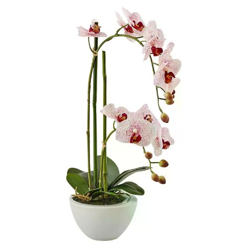 Edg Pianta artificiale Orchidea fuxia mix con vaso 213683 58 (50 cm)