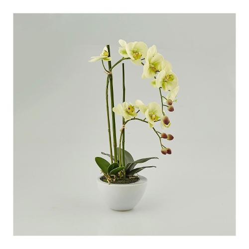 Edg Pianta artificiale Orchidea vaso lt.Green 213683 71 (50 cm)